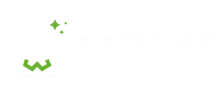 Magicwin